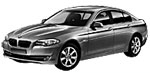 BMW F10 C2494 Fault Code